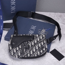 Mens Christian Dior Waist Chest Packs